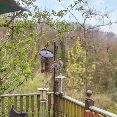 בית נופש Squirrels Acres *